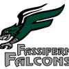 Fassifern Falcons